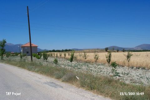 Bayat H�y�k